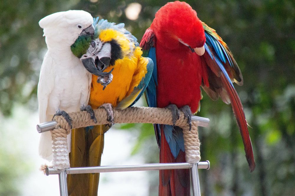 Photograph by Наталья Веряскина