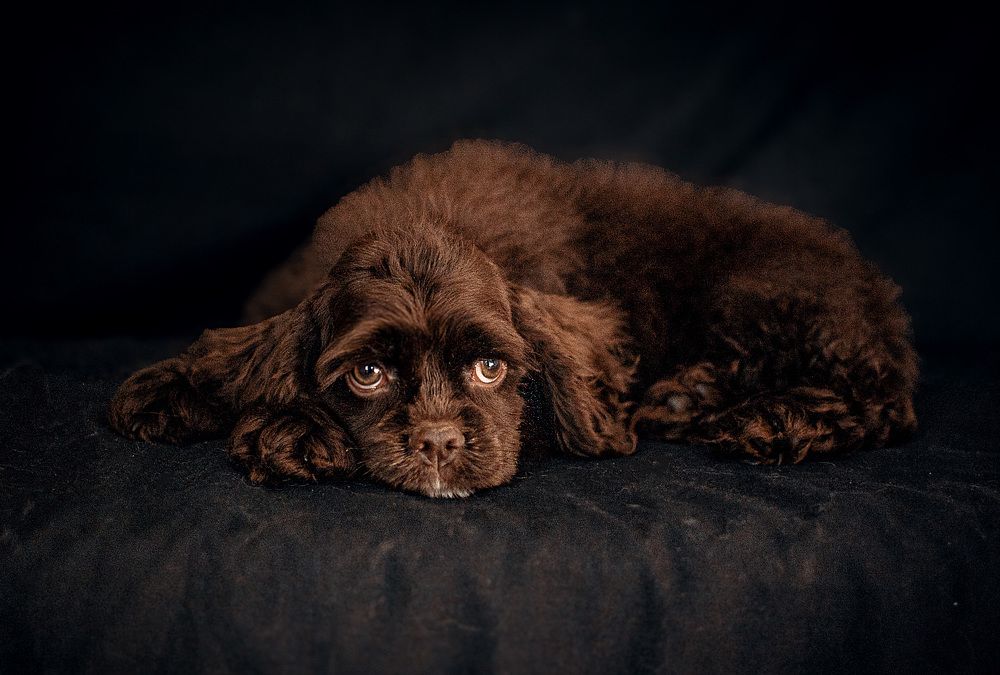 Photograph by Милана Бабченко