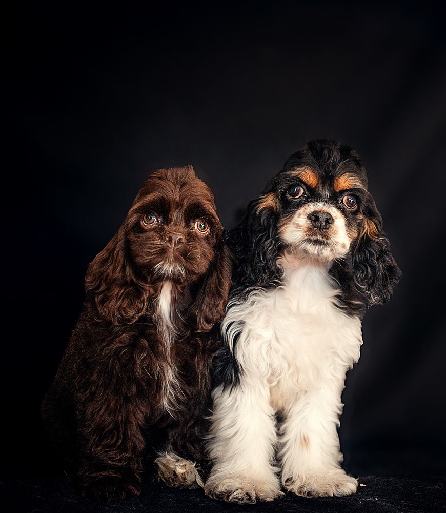 Photograph by Милана Бабченко