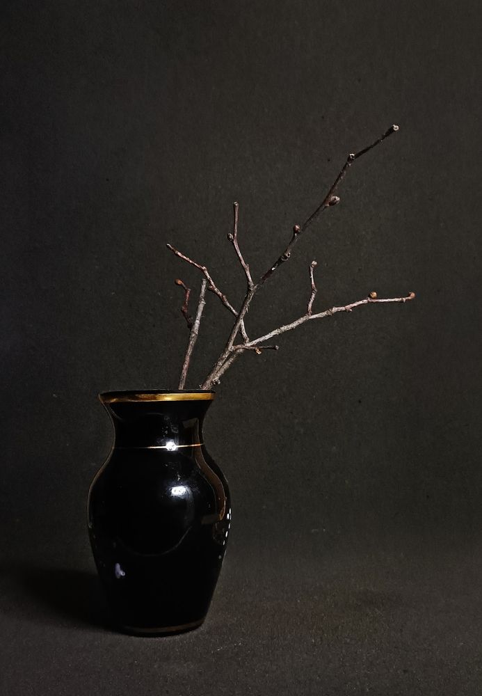 Фотография автора Татьяна Антонова