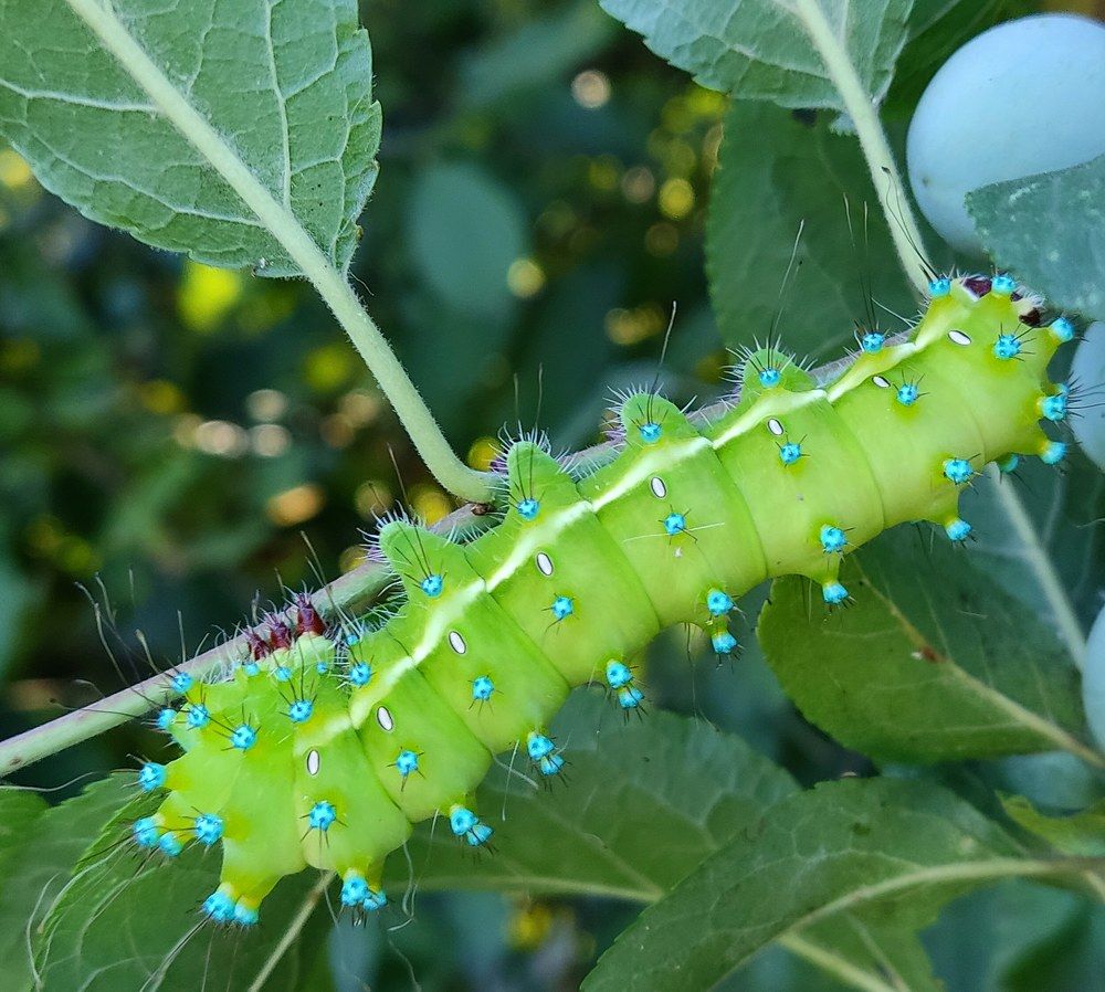 Photograph by Андрей Киричук