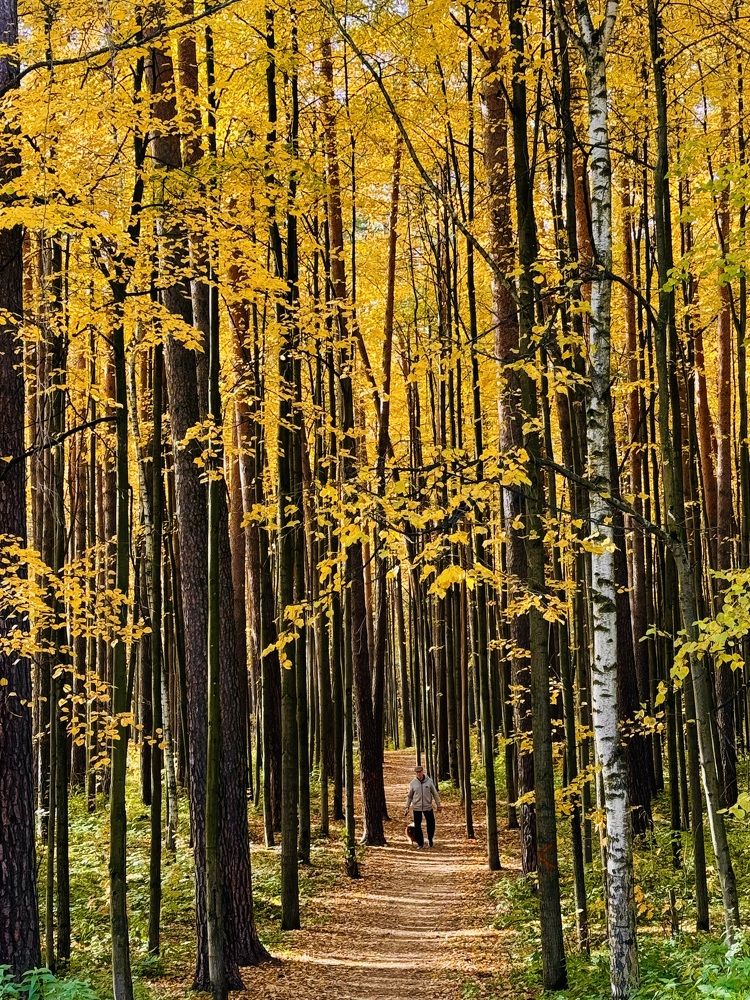 Photograph by Ксения Юртаева