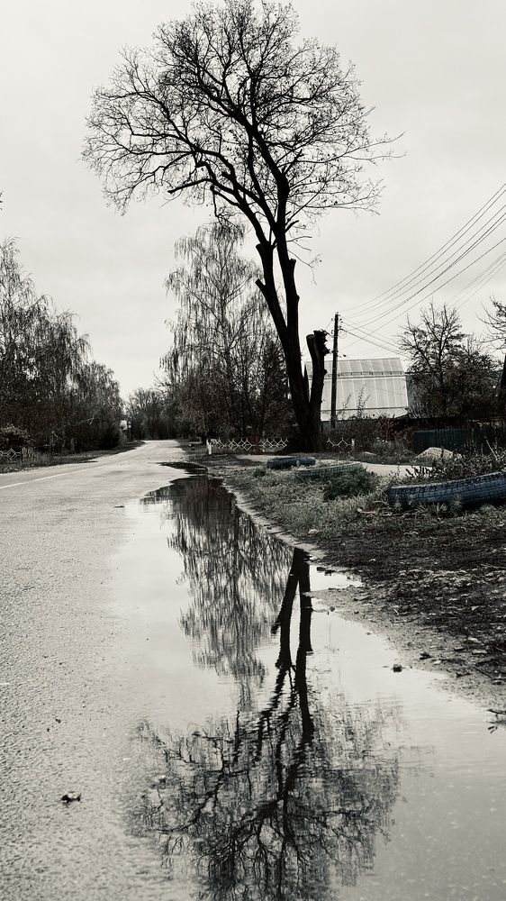 Photograph by Елена Гущина