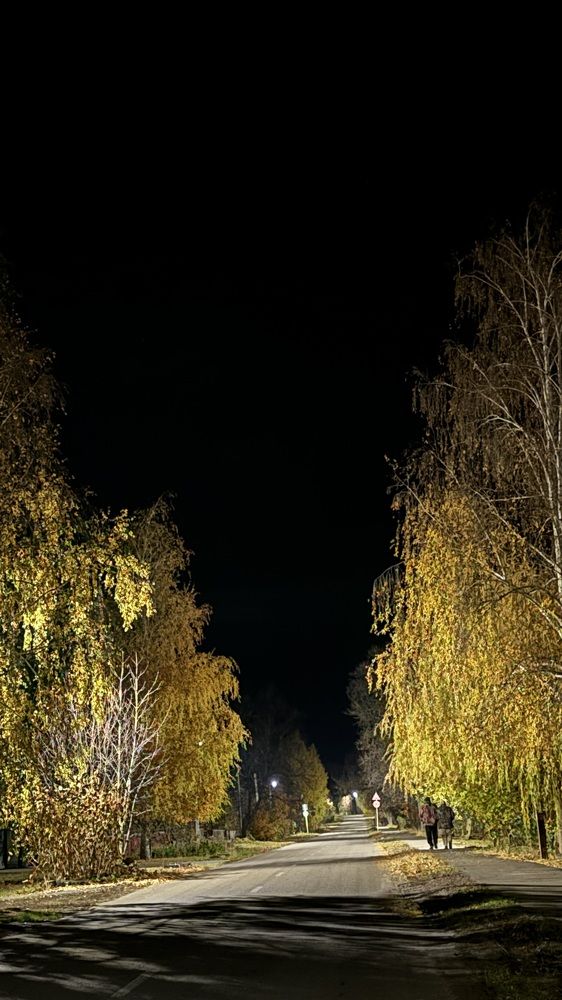 Photograph by Елена Гущина