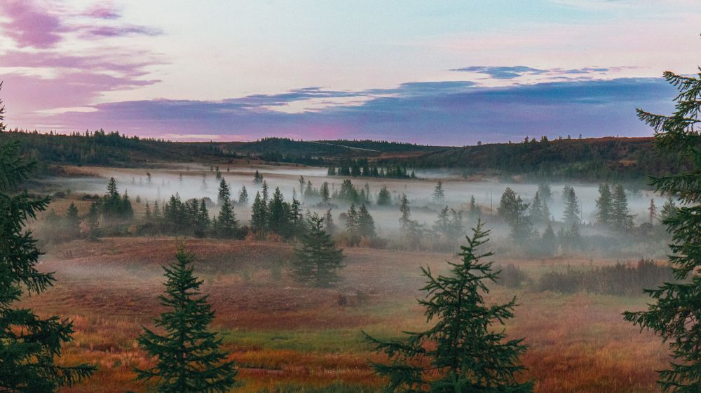 Photograph by Алмаз Пирматов