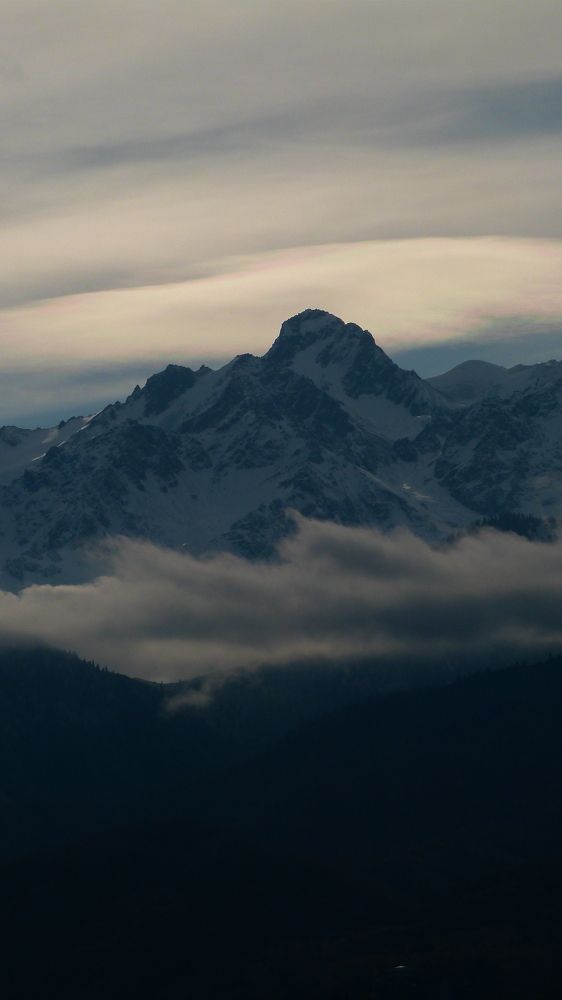 Photo #11308582