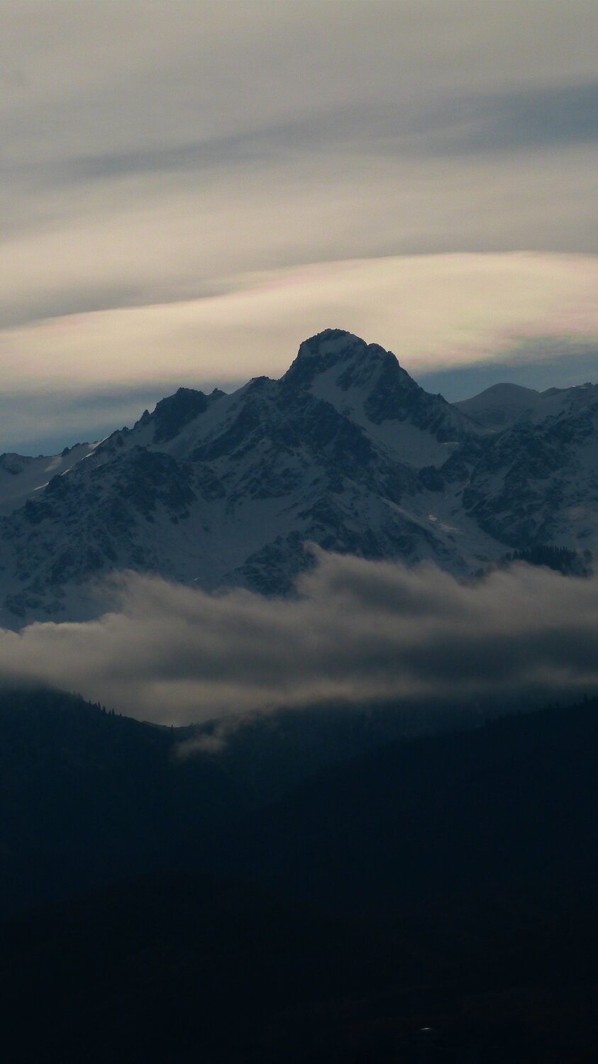 Photo #11308582