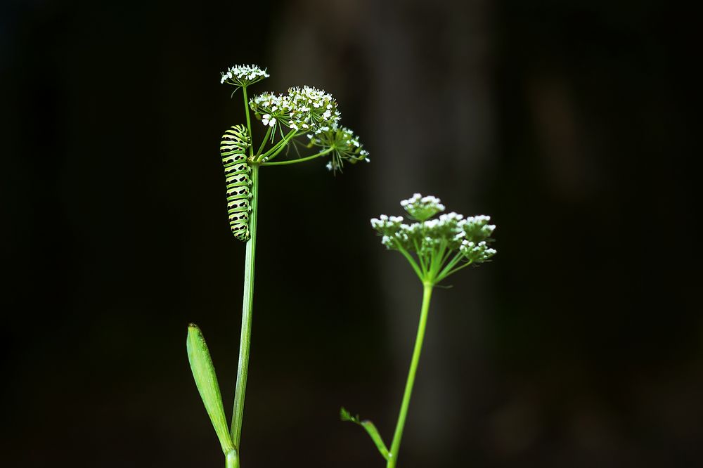 Photograph by Соколова Елена