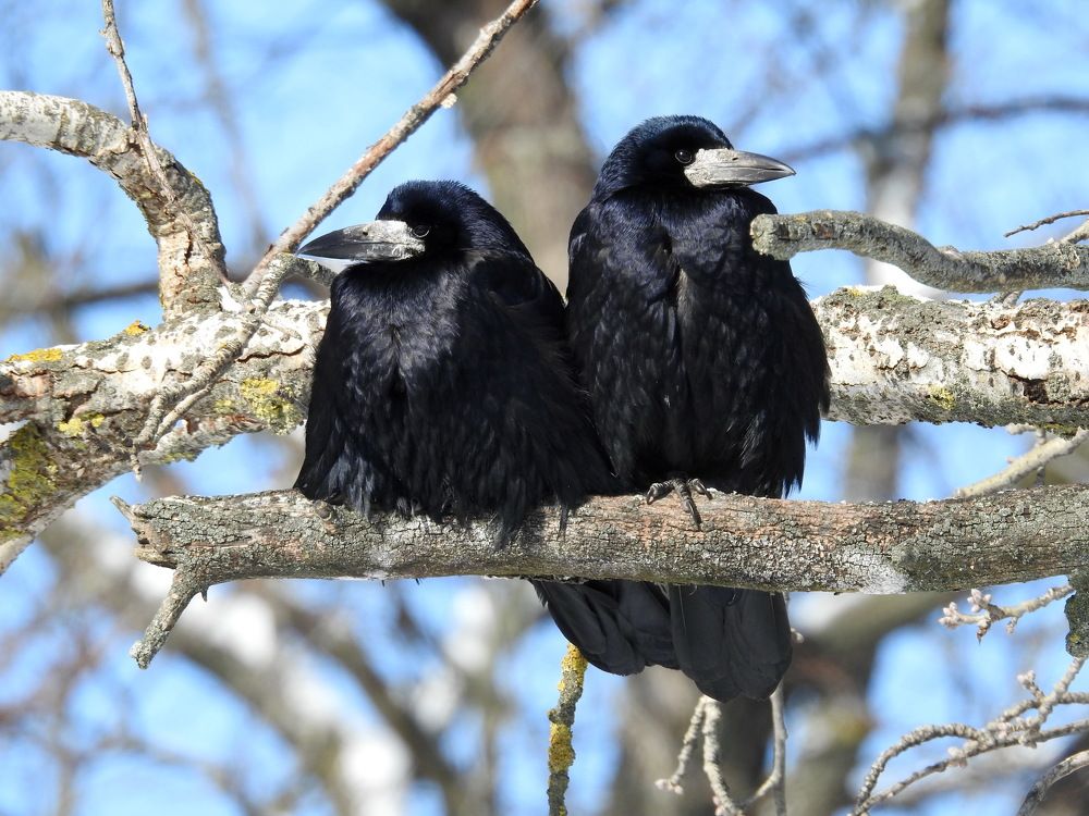 Photograph by Олеся Дейнеко