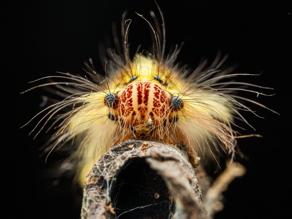 Photograph by Endra Agust