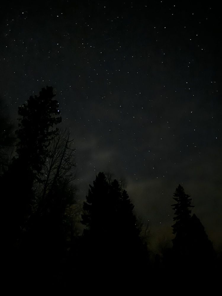 Photograph by Ксения Юртаева