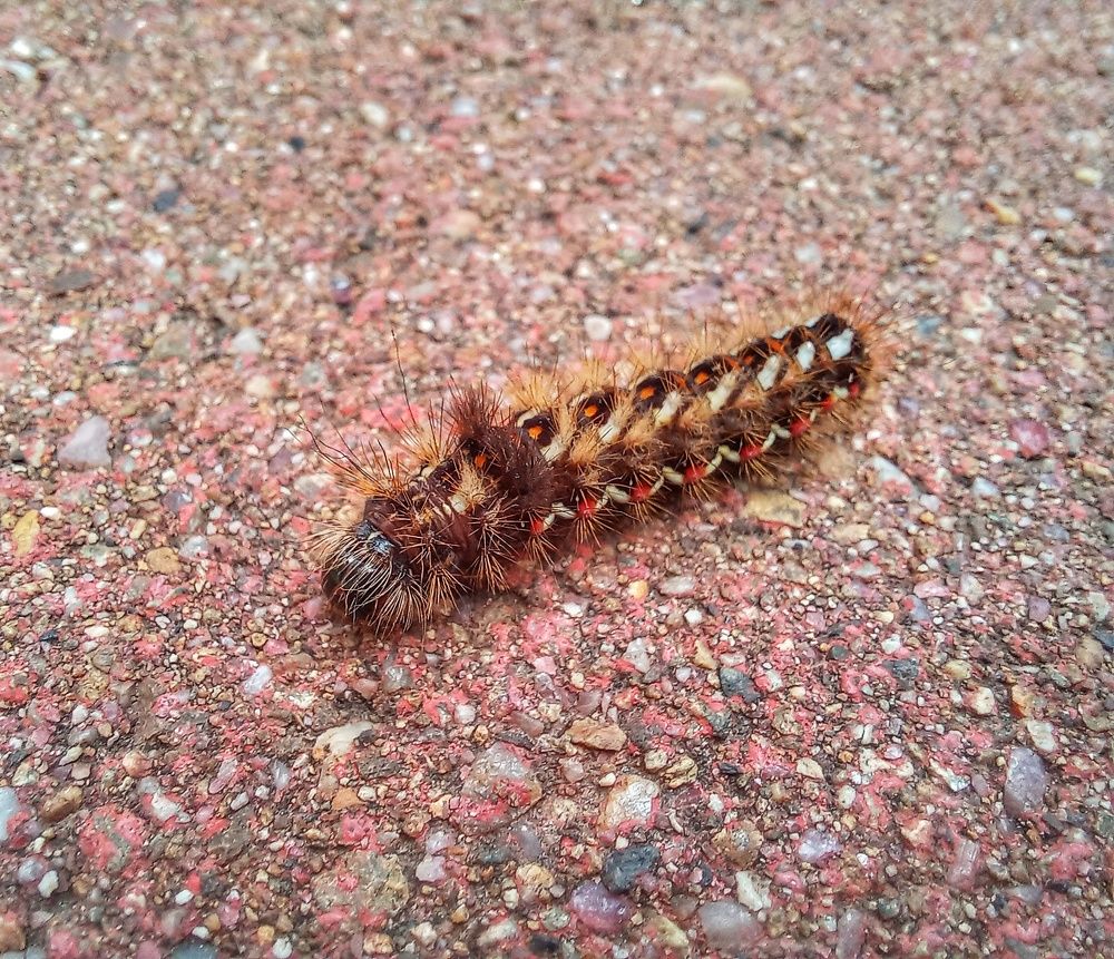 Photograph by Юлия Коробкова