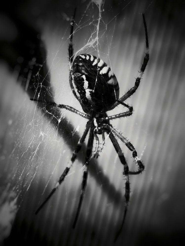 Photograph by Сергей Зайцев