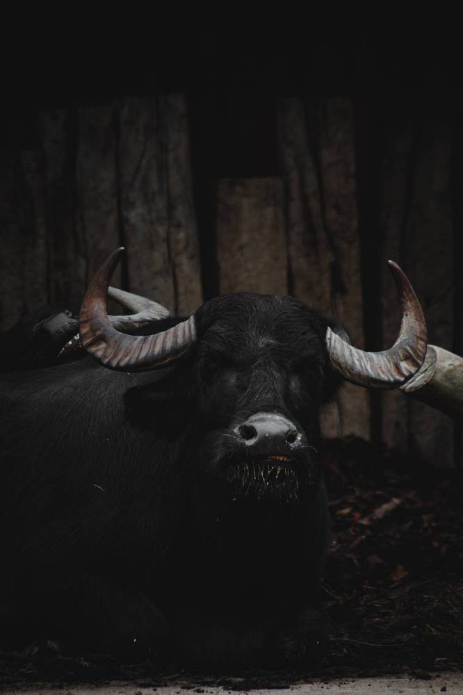 Фотография автора Vasilhs kolios