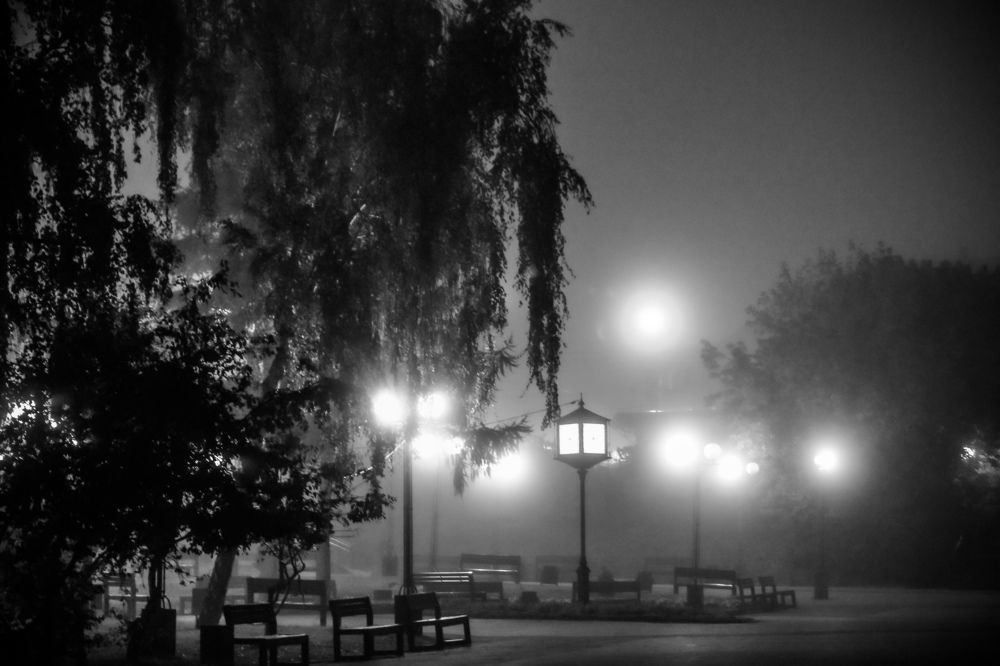 Photograph by Владимир Сушкин