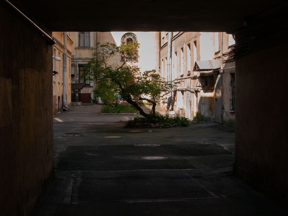 Photograph by Андрей