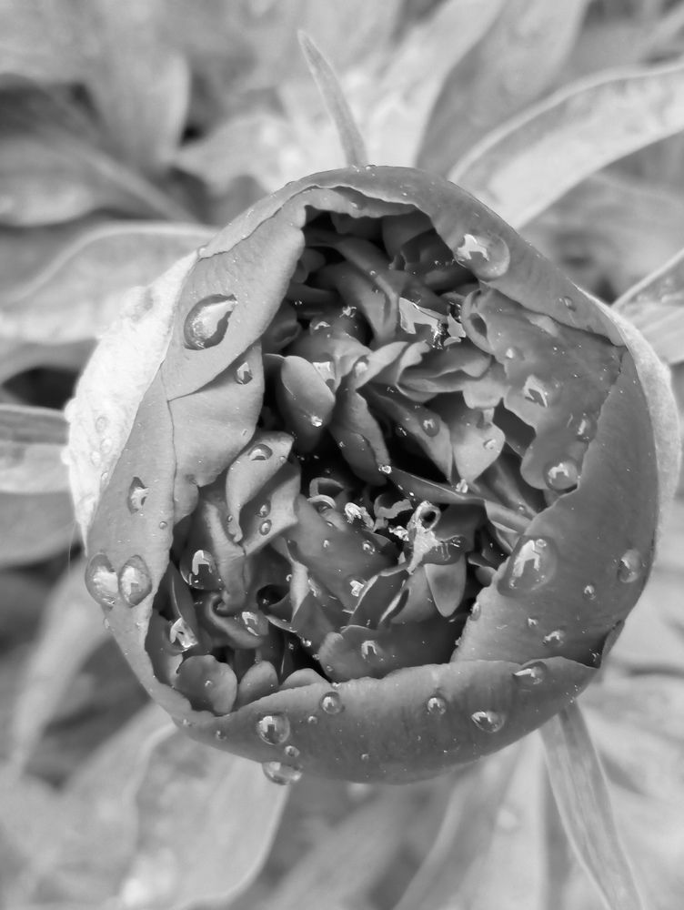 Photograph by Елена Коробченко