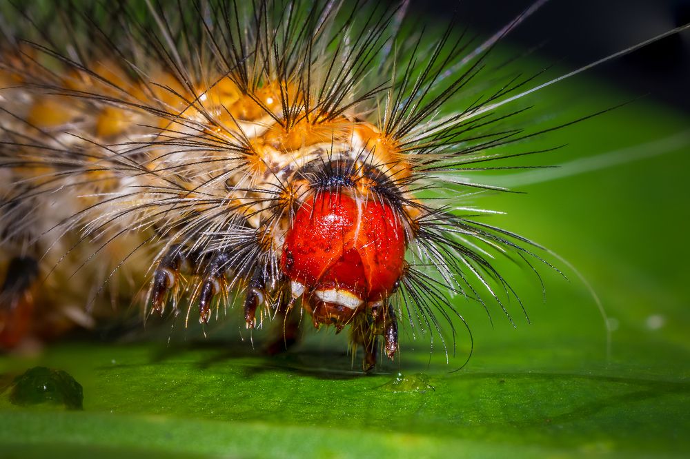 Photograph by Ovidiu-Daniel Iordache