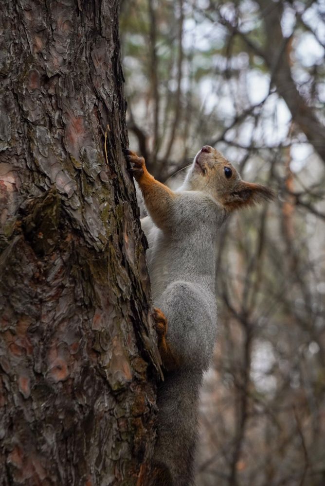 Photograph by Константин Обухов