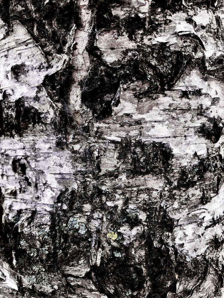 Photograph by Мария Карпычева