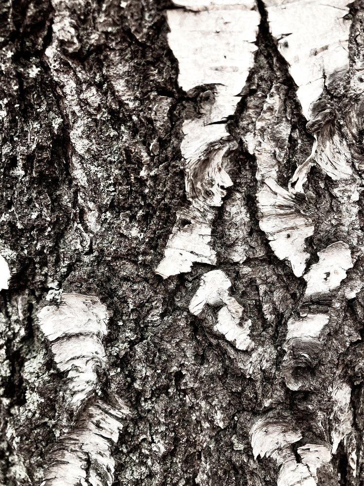 Photograph by Мария Карпычева