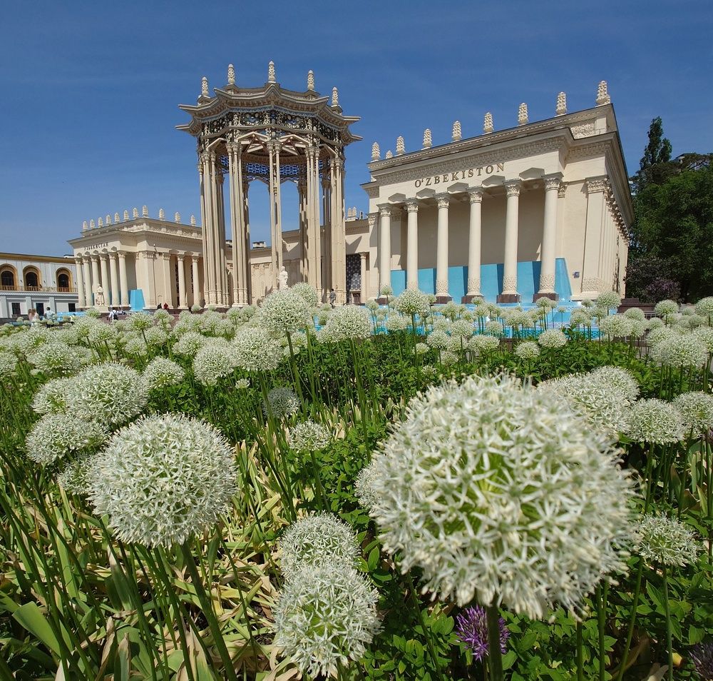 Photograph by Юрий Сычев