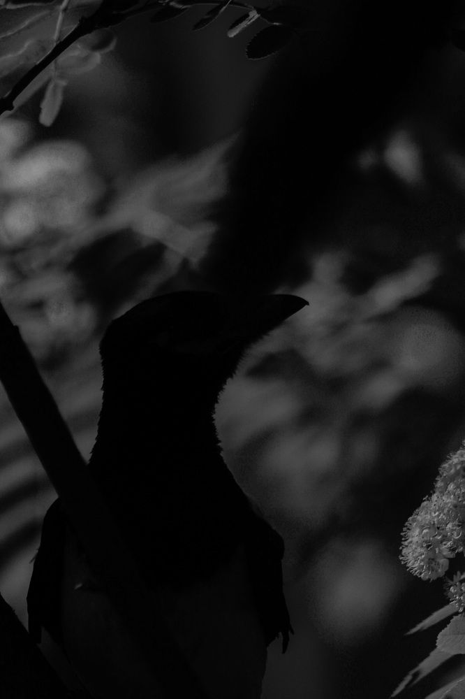 Photograph by Астафьева Анастасия