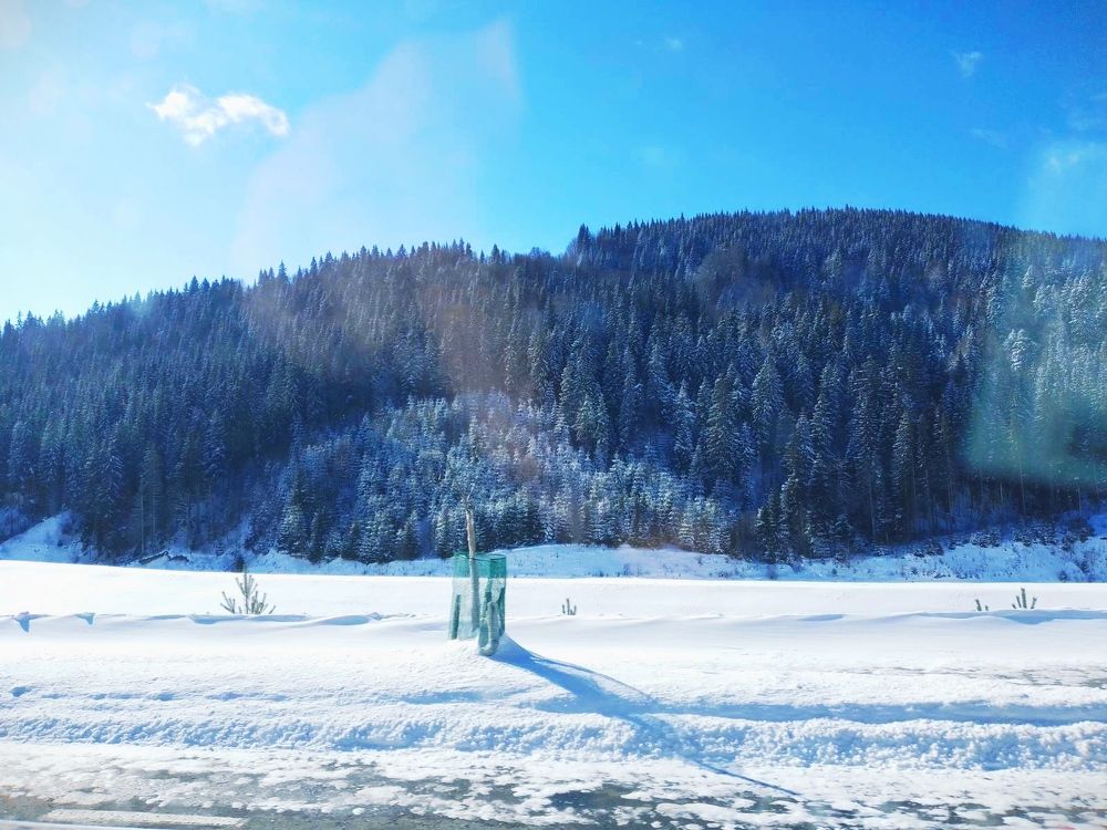 Photograph by Роман Маханов