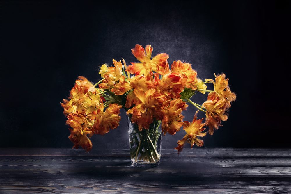 Photograph by Вячеслав Залитко