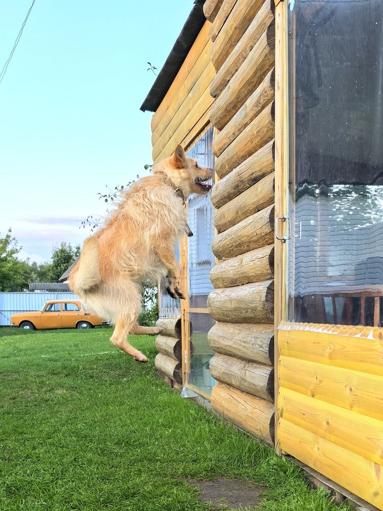 Фотография автора Александр Сипаров