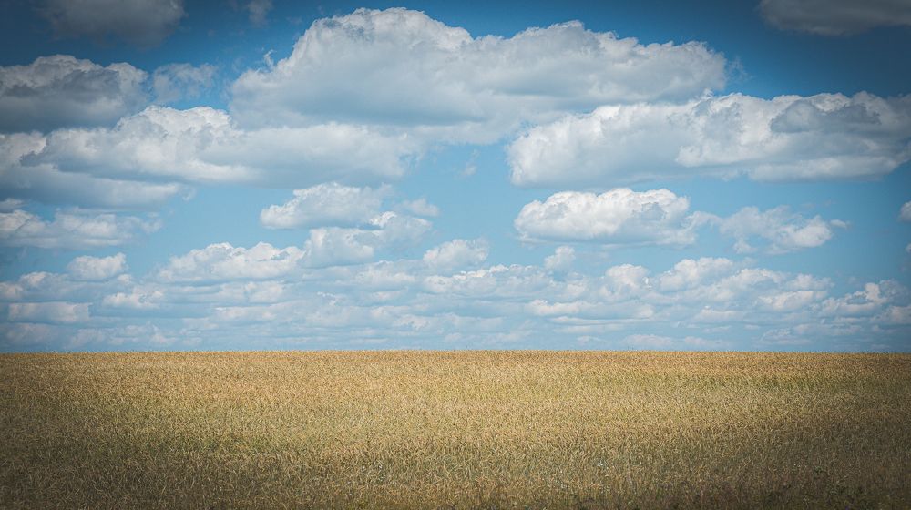 Photograph by Михаил