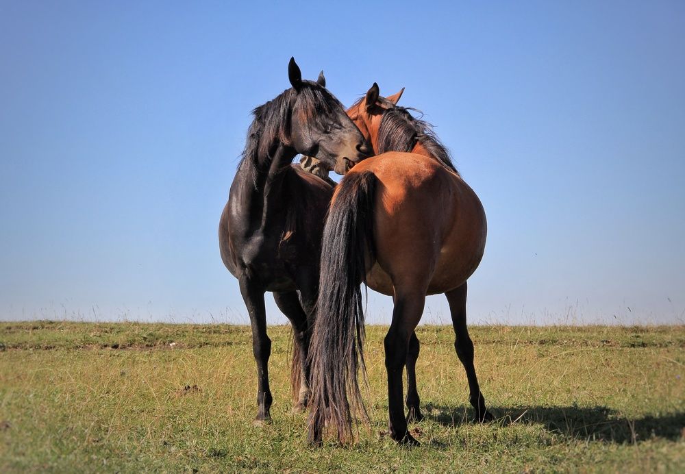 Photograph by Ярославна