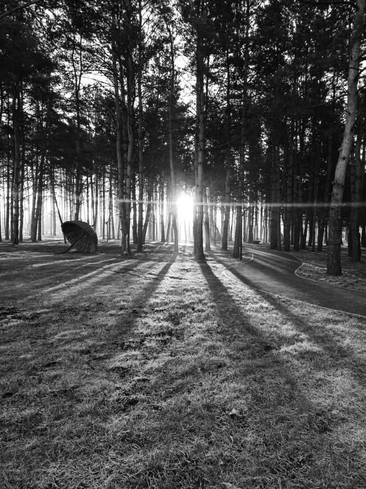 Фотография автора Юлия Сурина