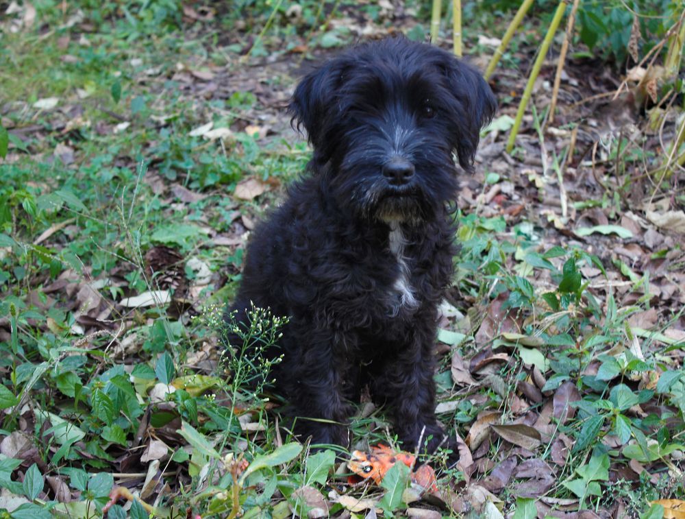 Фотография автора Татьяна Сергиенко