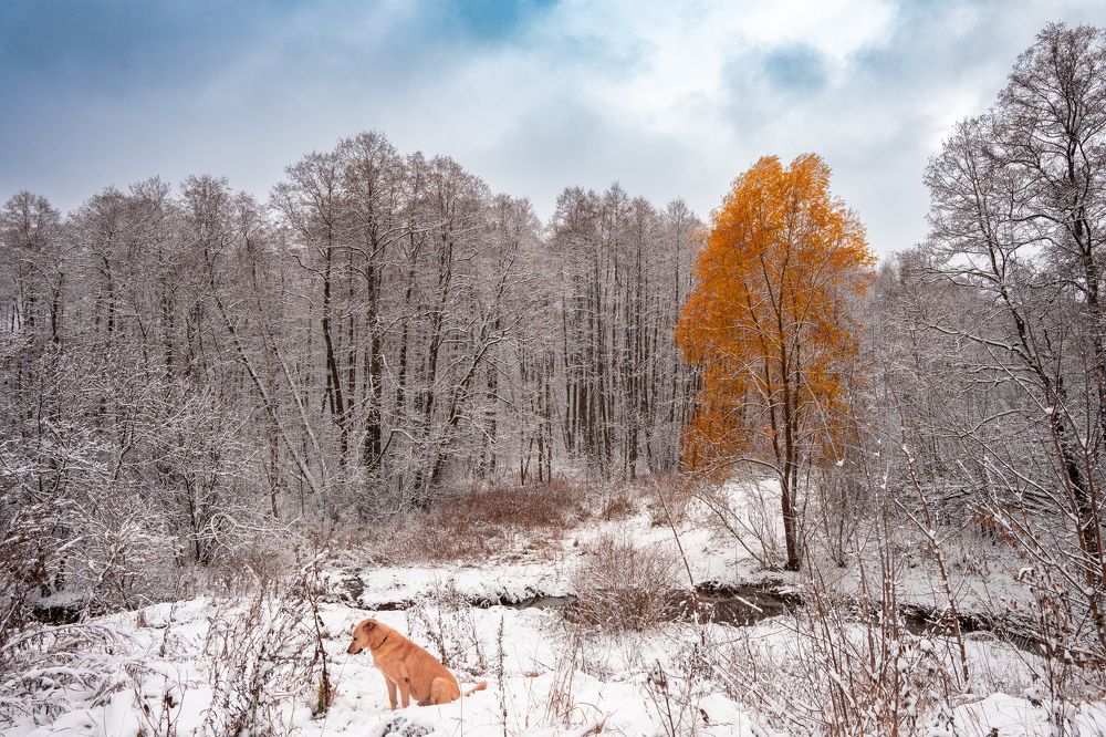 Photograph by Ивлев Артем