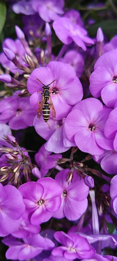 Photograph by Ксения Супрун