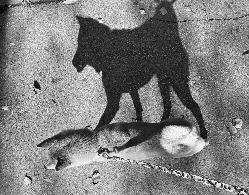 Photograph by Ксения Юртаева