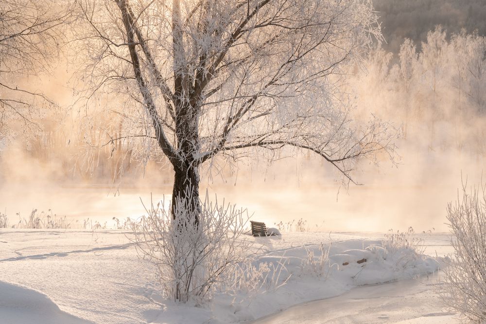 Photograph by Susn Jensen