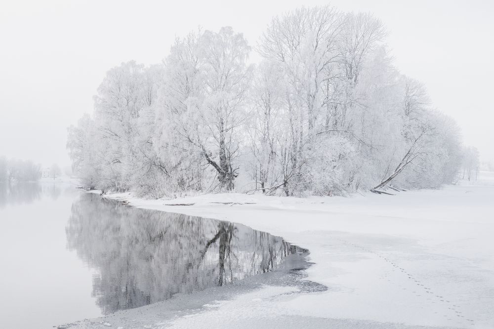 Photograph by Susn Jensen