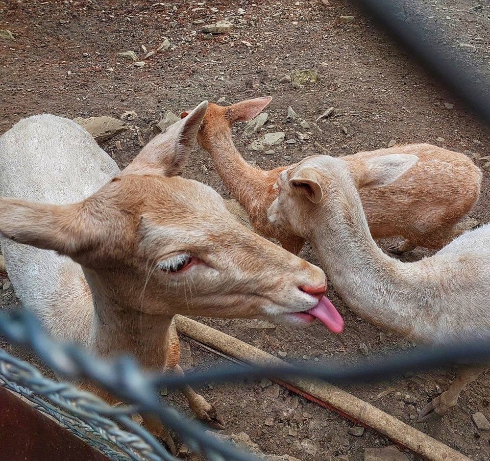 Photograph by Юлия Коробкова