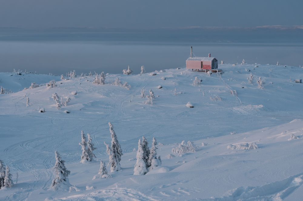 Photograph by Дарья Карамышева