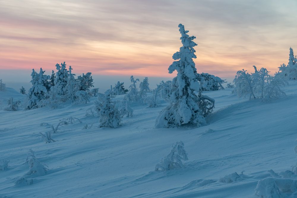 Photograph by Дарья Карамышева