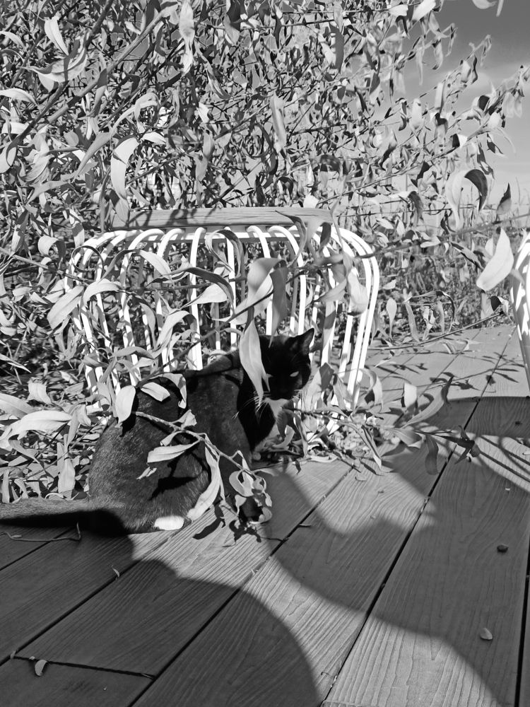 Фотография автора Юлия Сурина