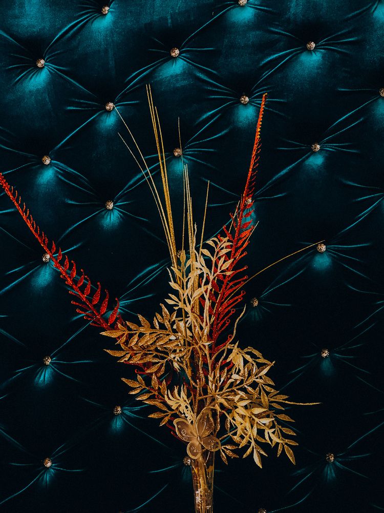 Фотография автора Алиса Исаева