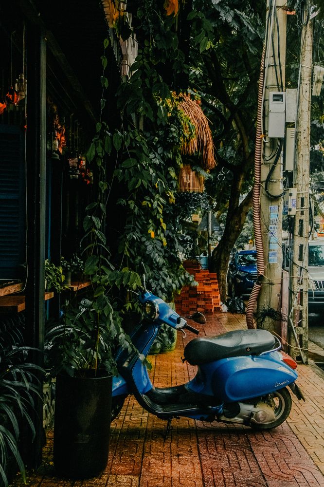 Фотография автора Алиса Исаева