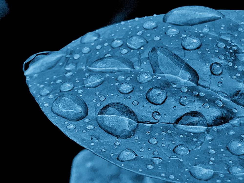 Фотография автора Washiful Majid