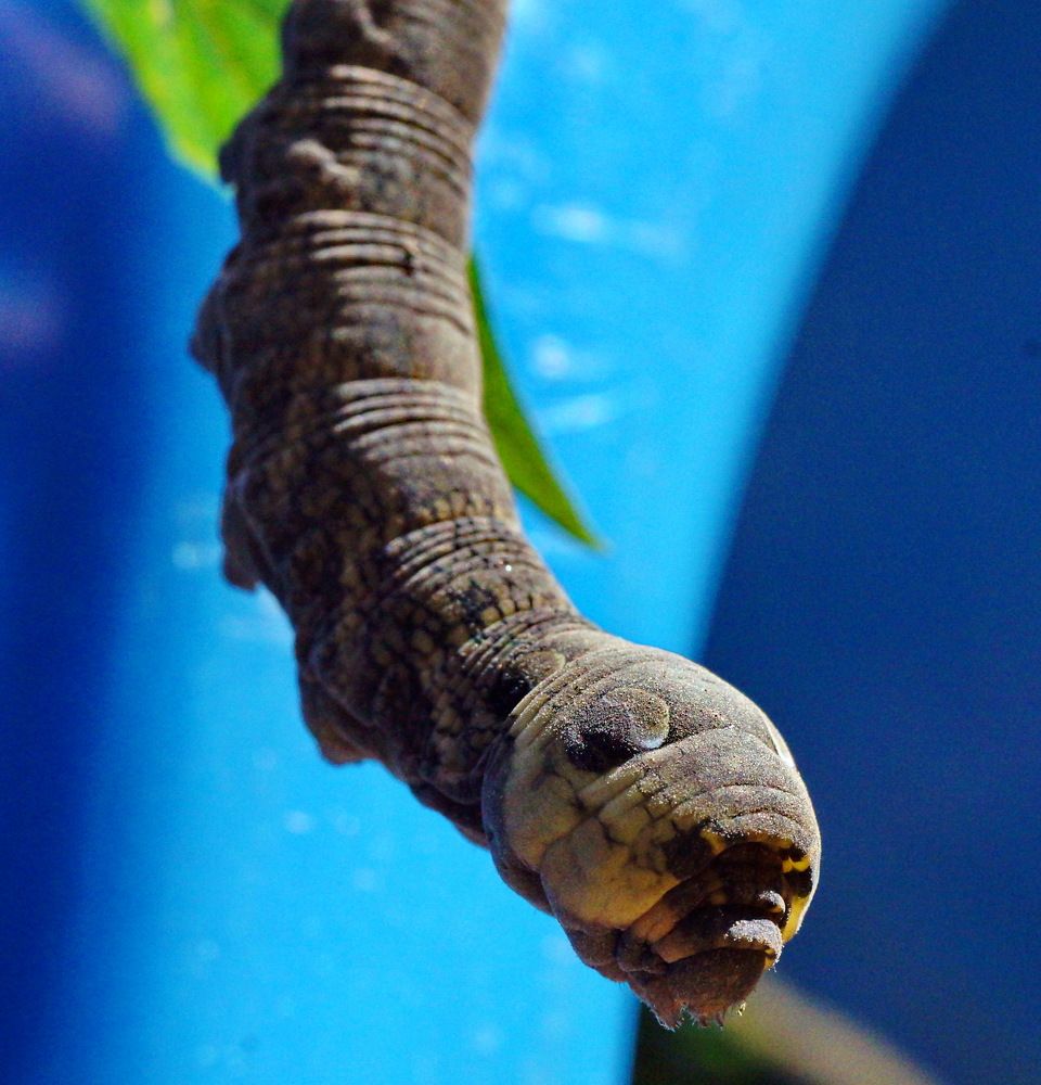 Photograph by Юрий Сычев