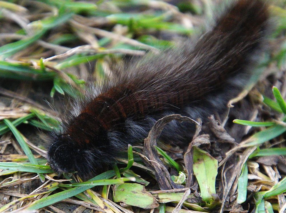 Photograph by Юрий Сычев