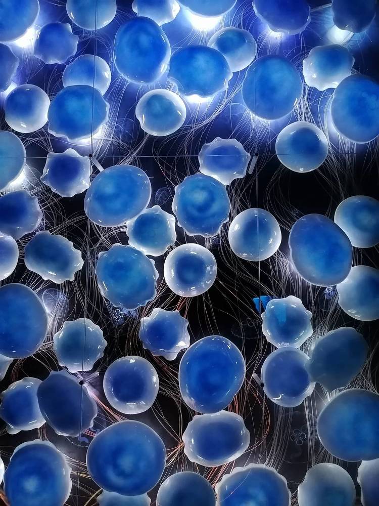 Photograph by Юлиана Иванова