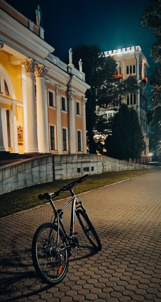 Photograph by Mishel Photographer